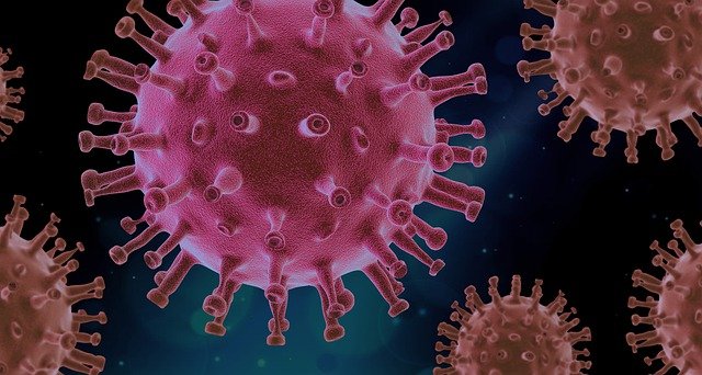 How Do Viruses Mutate?
